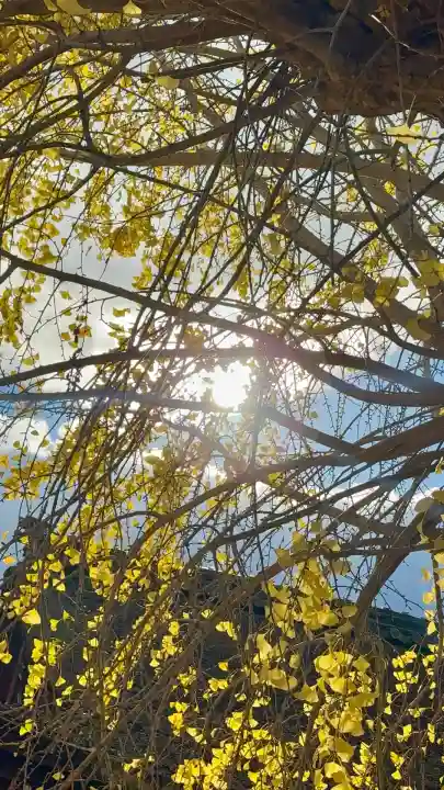 和田神社(滋賀県)