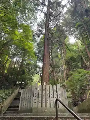 狸谷山不動院(京都府)