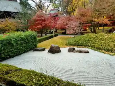 淨眞寺(東京都)