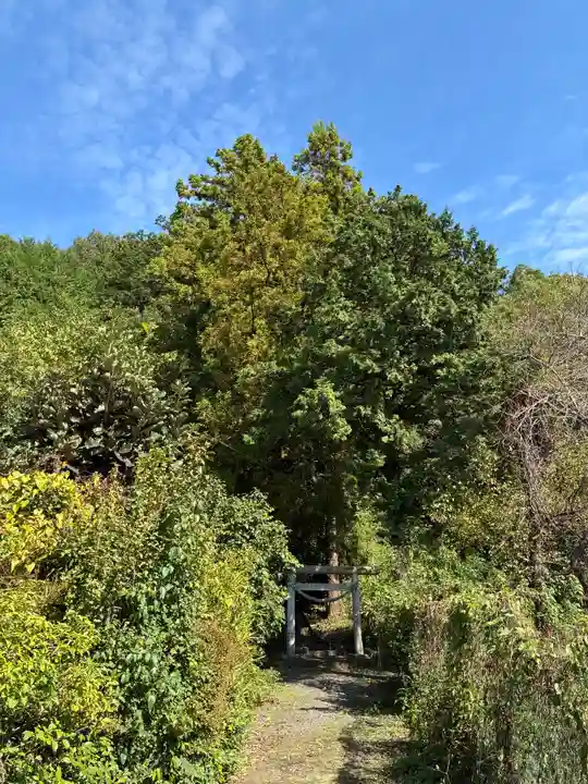 高龗神社(栃木県)