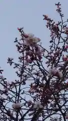 相馬神社の自然