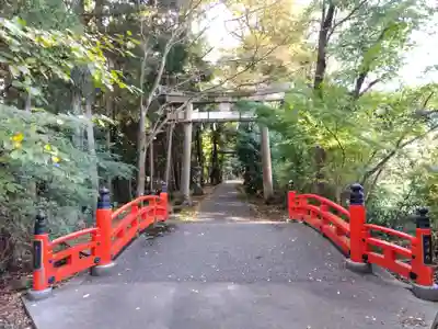 舟津神社(福井県)