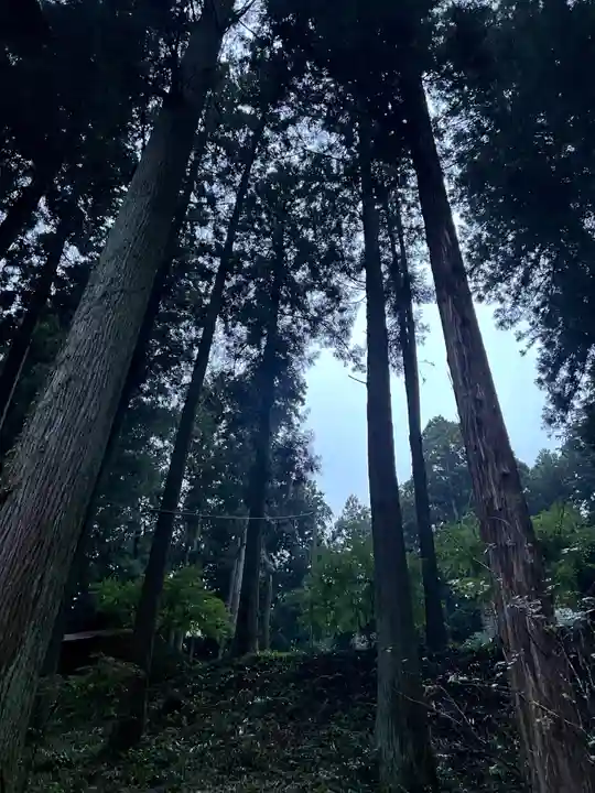 大宮温泉神社(栃木県)