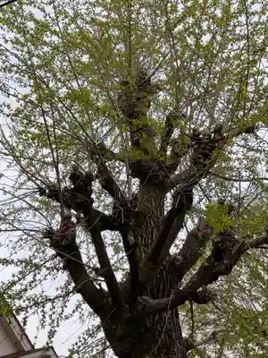 天王坊稲荷神社(岐阜県)