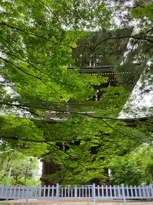 道場寺のその他建物