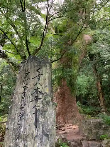 太宰府天満宮の建物その他