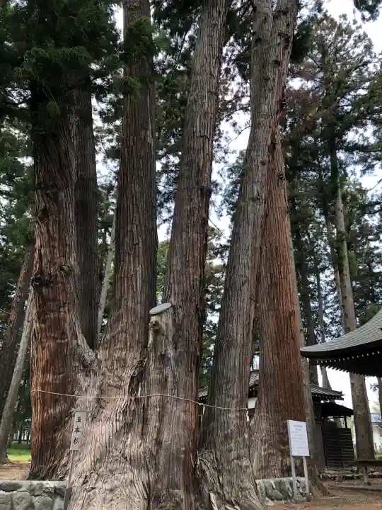 天神中條天満宮の{uncategorized: "未分類", other: "その他", undefined: "問題あり", building: "その他建物", grave: "お墓", sacred_gate: "鳥居", guardian: "狛犬", statue: "像", buddha: "仏像", history: "歴史", nature: "自然", garden: "庭園", animal: "動物", pagoda: "塔", temizu: "手水舎", mountain_gate: "山門・神門", sanctuary: "本殿・本堂", subordinate: "末社・摂社", art: "芸術", scenery: "景色", jizo: "地蔵", ema: "絵馬", goshuin: "御朱印", omikuji: "おみくじ", items: "授与品その他", amulet: "お守り", goshuincho: "御朱印帳", eats: "食事", festival: "お祭り", votive_dance: "神楽", shichigosan: "七五三参", wedding: "結婚式", experience: "体験その他", initially: "初詣", around: "周辺", anti_infection: "感染症対策"}
