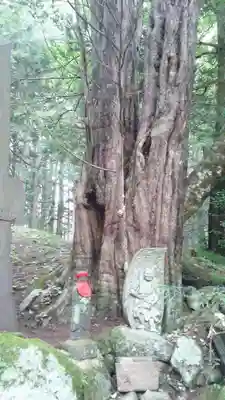 早池峰神社のその他建物