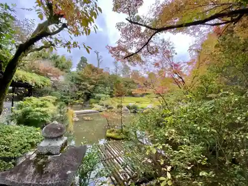 退蔵院の庭園