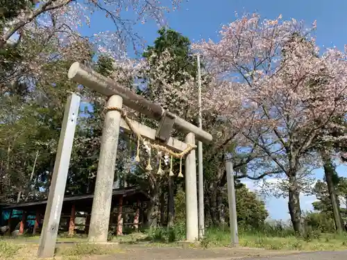 白幡神社の鳥居