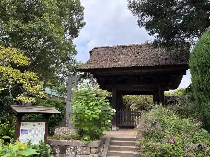 極楽寺(霊鷲山感應院極楽律寺)(神奈川県)