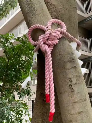 伊和志津神社(兵庫県)