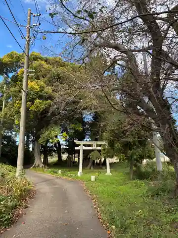 大杉神社(千葉県)