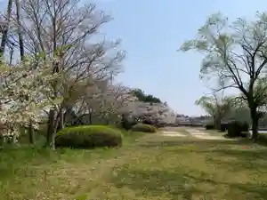 牟禮山観音禅寺の庭園(2020年04月08日(水) 15時25分00秒投稿)