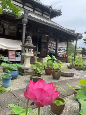 生蓮寺(奈良県)
