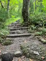 戸隠神社奥社(長野県)