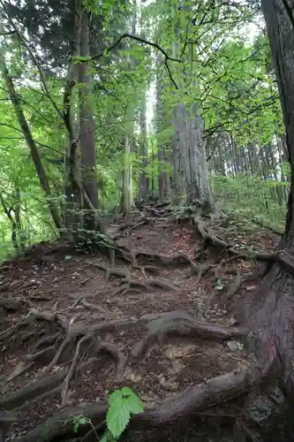 武蔵御嶽神社奥の院の自然