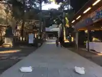 平塚八幡宮の動物