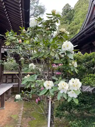 龍泉院(和歌山県)
