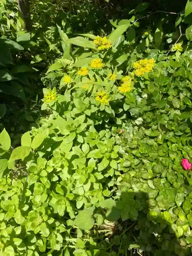 大巧寺(神奈川県)