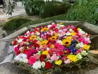 大谷本廟の手水舎