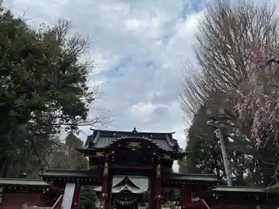 秩父神社(埼玉県)