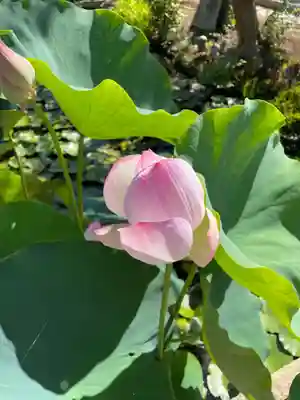 歓喜院(兵庫県)