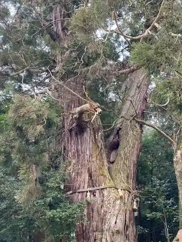 高岡神社(岡山県)