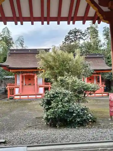 美濃國一宮　南宮大社(岐阜県)