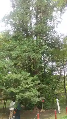 伊佐須美神社(福島県)
