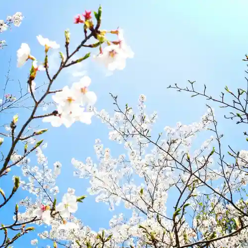 大生神社の自然