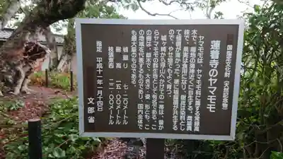 蓮着寺のその他建物