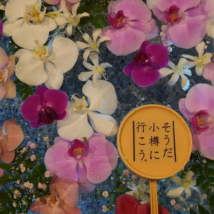 住吉神社の手水舎