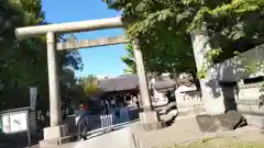 浅草神社の鳥居