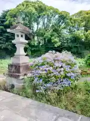 報徳二宮神社の自然