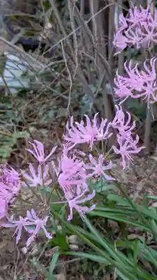 浄國寺(浄国寺)(大阪府)