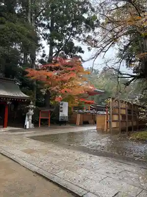 香取神宮(千葉県)