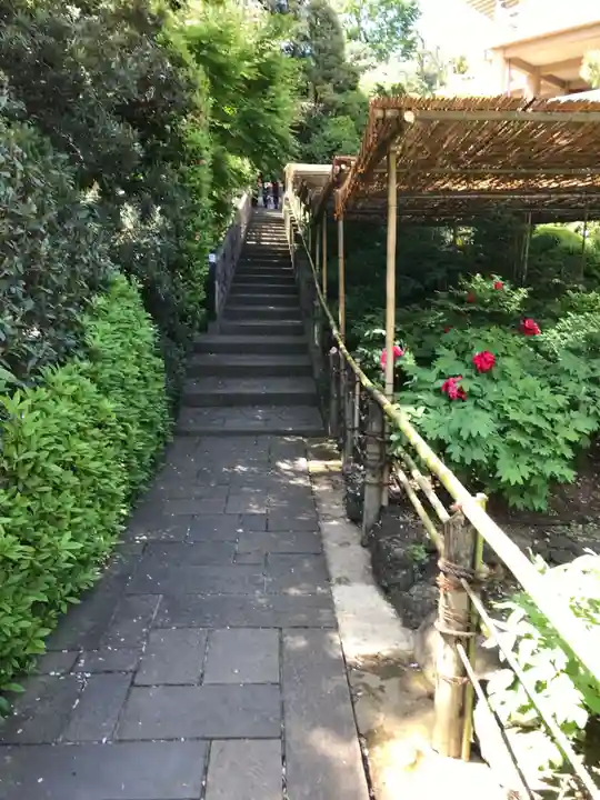 東長谷寺 薬王院の庭園