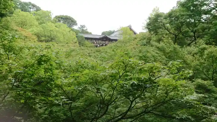 東福禅寺(東福寺)の景色