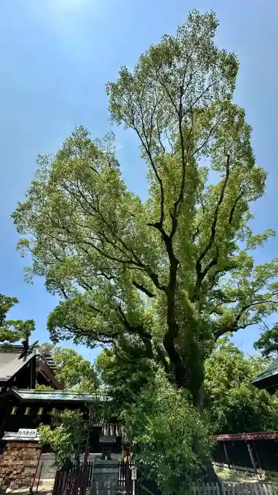 和泉國一之宮 大鳥大社(大阪府)