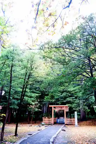 北海道神宮の鳥居