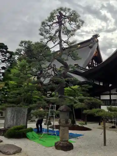 恵林寺の庭園