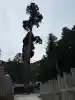 安志加茂神社の{uncategorized: "未分類", other: "その他", undefined: "問題あり", building: "その他建物", grave: "お墓", sacred_gate: "鳥居", guardian: "狛犬", statue: "像", buddha: "仏像", history: "歴史", nature: "自然", garden: "庭園", animal: "動物", pagoda: "塔", temizu: "手水舎", mountain_gate: "山門・神門", sanctuary: "本殿・本堂", subordinate: "末社・摂社", art: "芸術", scenery: "景色", jizo: "地蔵", ema: "絵馬", goshuin: "御朱印", omikuji: "おみくじ", items: "授与品その他", amulet: "お守り", goshuincho: "御朱印帳", eats: "食事", festival: "お祭り", votive_dance: "神楽", shichigosan: "七五三参", wedding: "結婚式", experience: "体験その他", initially: "初詣", around: "周辺", anti_infection: "感染症対策"}