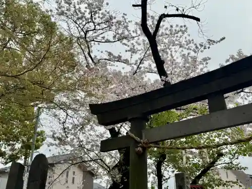和田稲荷神社の{uncategorized: "未分類", other: "その他", undefined: "問題あり", building: "その他建物", grave: "お墓", sacred_gate: "鳥居", guardian: "狛犬", statue: "像", buddha: "仏像", history: "歴史", nature: "自然", garden: "庭園", animal: "動物", pagoda: "塔", temizu: "手水舎", mountain_gate: "山門・神門", sanctuary: "本殿・本堂", subordinate: "末社・摂社", art: "芸術", scenery: "景色", jizo: "地蔵", ema: "絵馬", goshuin: "御朱印", omikuji: "おみくじ", items: "授与品その他", amulet: "お守り", goshuincho: "御朱印帳", eats: "食事", festival: "お祭り", votive_dance: "神楽", shichigosan: "七五三参", wedding: "結婚式", experience: "体験その他", initially: "初詣", around: "周辺", anti_infection: "感染症対策"}