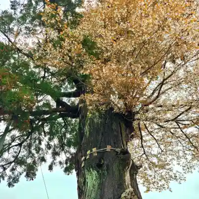 六所神社(静岡県)