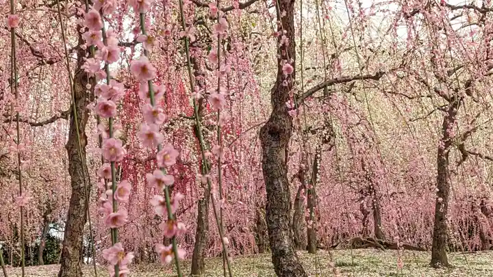 城南宮(京都府)