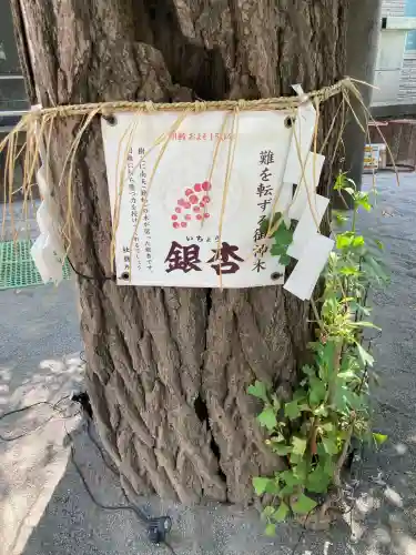 女躰大神(神奈川県)