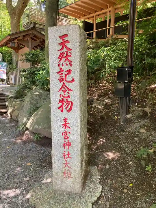 來宮神社(静岡県)