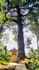 日吉神社(千葉県)