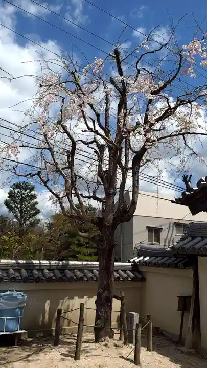 西福寺(広島県)